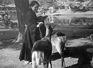 Feeds: Young woman with deer, 1940