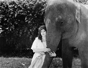 Peacefully: Young woman hugging the trunk of an elephant
