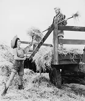 Collaborate: Young women bucking hay