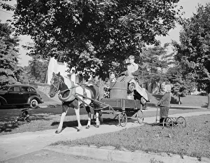 Donation: Youngsters collecting scrap on a pony cart