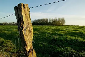 Cratered: Ypres - Looking across towards Railway Wood