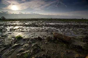 Passchendaele: Ypres - Passchendaele