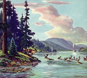 Navigates: Yukon River, Canada