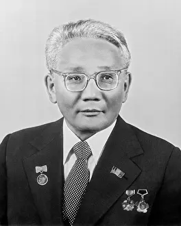 Tsedenbal: Yumjaagiin Tsedenbal, 1981