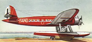 Entirely: Cant Z.506 Seaplane