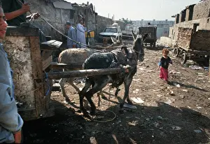 Filthy: Zabbaleen of Mokattam, Cairo, Egypt - 6