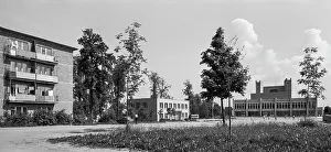Auditorium: Zaokskiy state farm