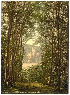 Enchanted: The Zauberhole (Enchanted Grotto) and Rheinstein, Niederwald