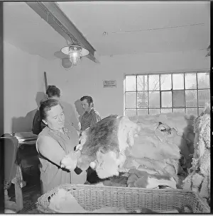 Capabilities: Zdena Kolarova, worker, factory window, lamp, fur, basket