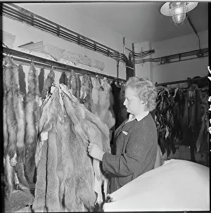 Capabilities: Zdenka Nekudova, worker, inspector, fur