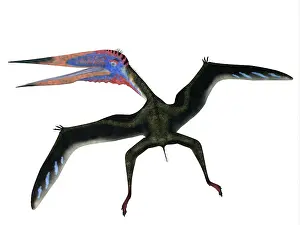 Azhdarchid: Zhejiangopterus pterosaur
