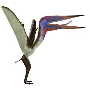 Azhdarchid: Zhejiangopterus pterosaur