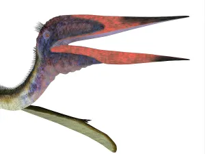 Ugliness: Zhejiangopterus pterosaur head, close-up