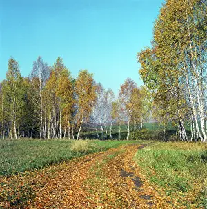 Kilometers: Zhiguli Hills in autumn, 1997