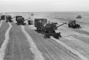 Threshing: Zilair collective farm