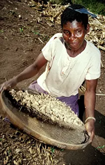 Sieve: Zimbabawe, cleaning ground nuts, 1999. Photo Paul Weinberg