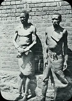 Britsih: Zimbabwe (Rhodesia) - Chief