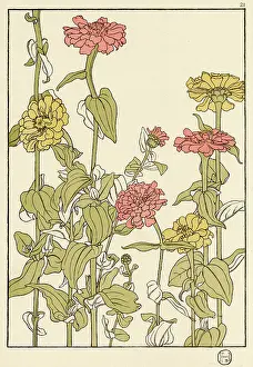 Pochoir: Zinnia