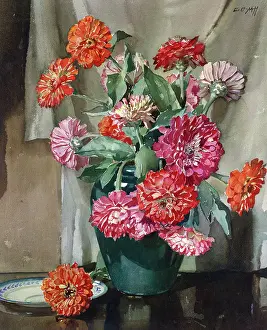 Zinnias: Zinnias