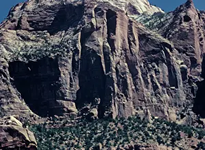 Anne Burton: Zion National Park - Utah