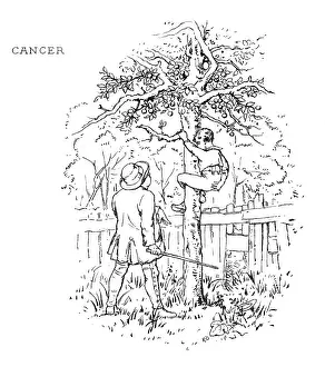 Portrayal: ZODIAC/CANCER (MAXIMS)
