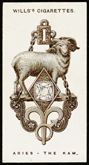 Charms: ZODIAC CHARMS ARIES