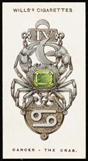 Charms: ZODIAC CHARMS CANCER