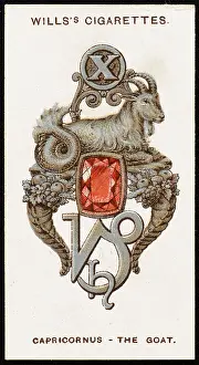 Charms: ZODIAC CHARMS CAPRICORN