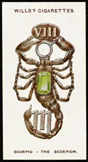 Charms: ZODIAC CHARMS SCORPIO