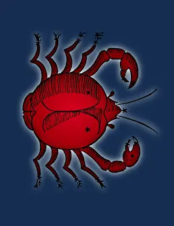 Poeticon: Zodiac Crab, Cancer Constellation