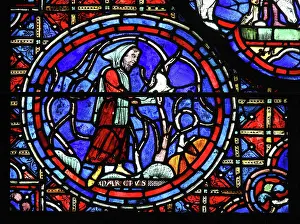 Pruning: Zodiac and labours of the months stained glass