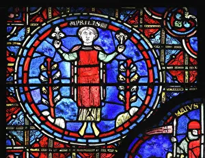 Fertile: Zodiac and labours of the months stained glass
