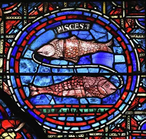 Pisces: Zodiac and labours of the months stained glass