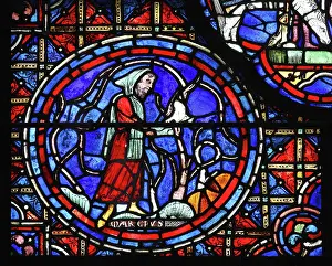 Pruning: Zodiac and labours of the months stained glass
