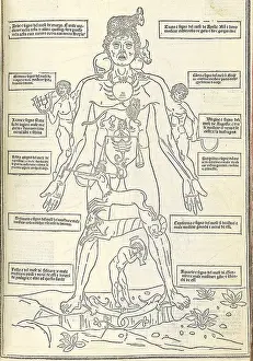 Medicina: Zodiac Man from illustrating how the human ?