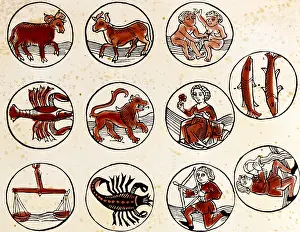Scorpio: Zodiac signs