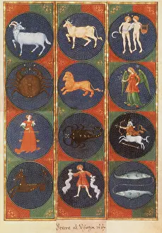 Insets: Zodiac Signs
