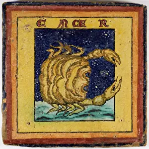 25cm: ZODIAC TILE / CANCER