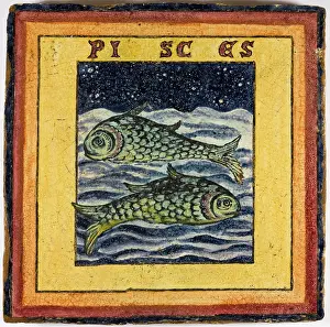 25cm: ZODIAC TILE / PISCES