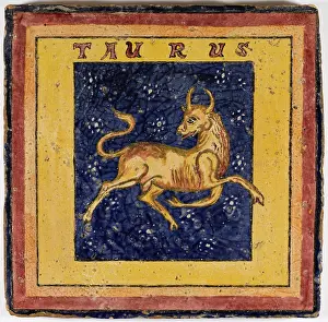 25cm: ZODIAC TILE / TAURUS