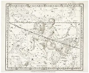 Whittaker: Zodiac - Whittaker - Aquarius - Capri