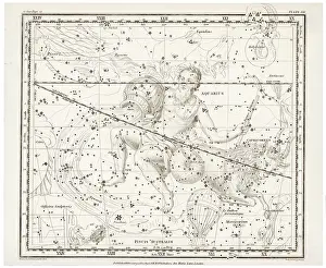 Capri: Zodiac - Whittaker - Aquarius - Capri