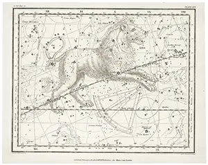 Whittaker: Zodiac - Whittaker - Leo
