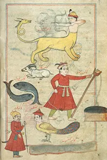 Harpy: Zodiacal Constellations, 17th Century