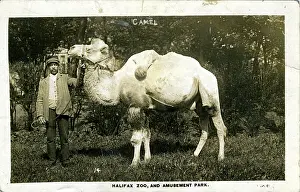 Halifax: Zoo & Amusement Park, Exley, Yorkshire