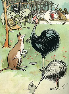 Anteater: Zoo animals