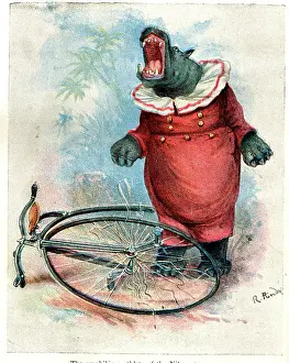 Hippo: Zoo Animals Up To Date on Cycles - Hippo on Penny Farthing
