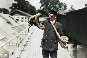 Tangle: ZOO KEEPER & SNAKES