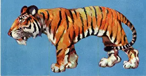 Misfitz: Zoo Misfitz card game - tiger