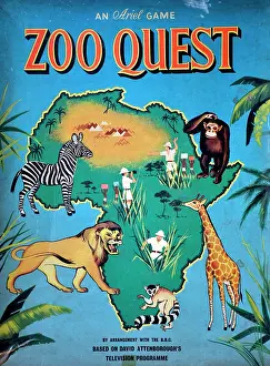 Ariel: Zoo Quest game
